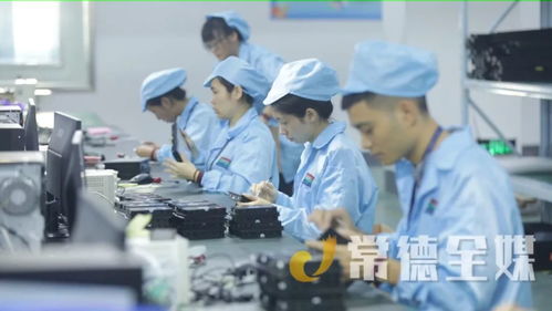 桃源 培優 兩主兩特 產業 挺進全省十強縣