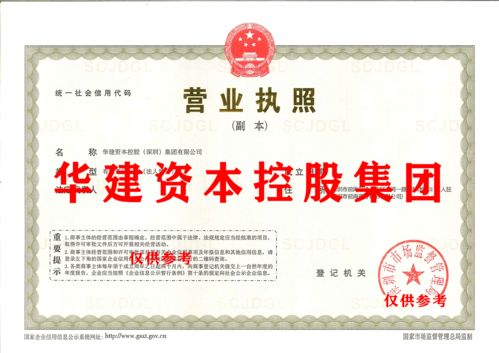 資本控股 大變身 天時地利與人和,控股投資風正起